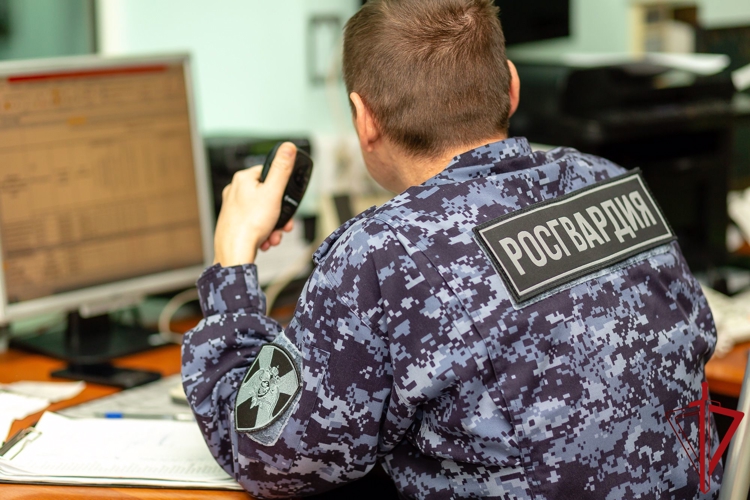 Северодвинские росгвардейцы задержали подозреваемого в умышленном повреждении чужого имущества
