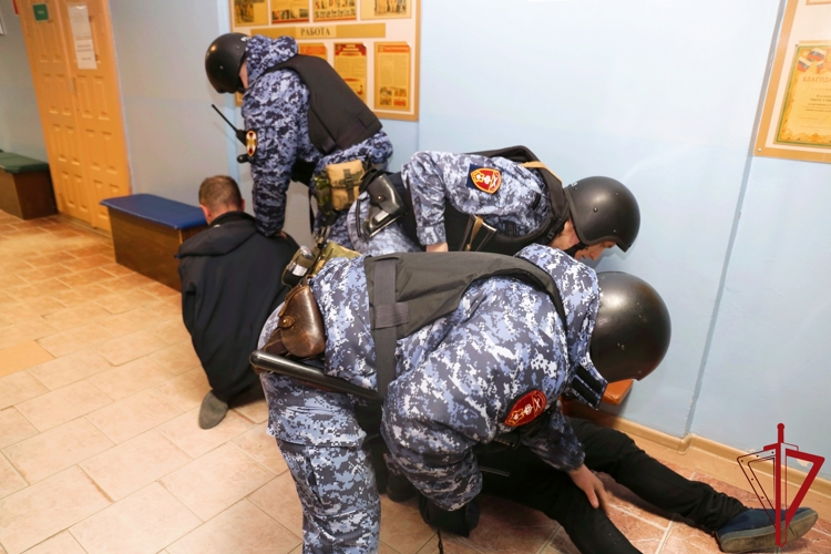 Подразделения Росгвардии приняли участие в проведенных учреждениями образования Поморья тренировках