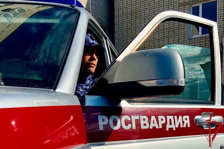 В Северодвинске наряд Росгвардии задержал подозреваемого в совершении имущественного преступления
