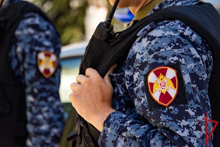 В Архангельске наряд Росгвардии задержал жителя Ярославля, подозреваемого в подделке документов
