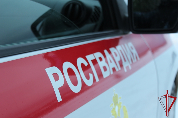 Сотрудники Росгвардии Поморья за неделю изъяли 48 ружей и задержали 82 правонарушителя