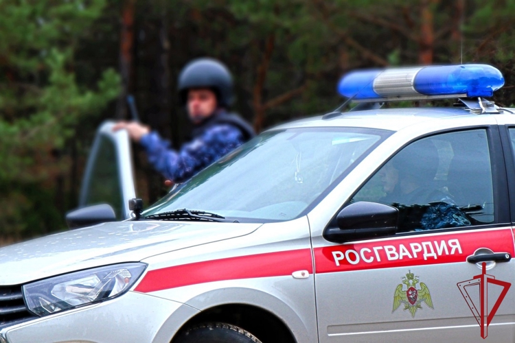 Сотрудники Росгвардии Поморья за неделю 150 раз выезжали по сигналам тревоги и изъяли 13 ружей у нарушителей