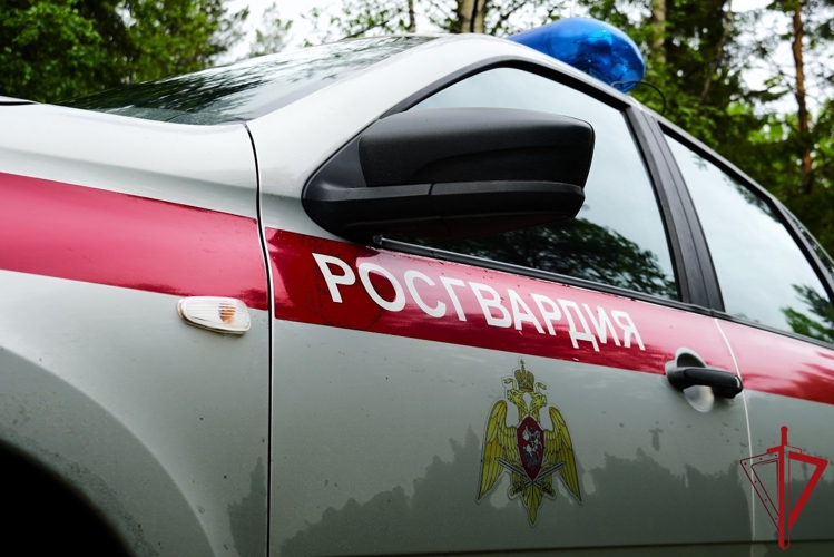 Патруль Росгвардии задержал осужденного архангелогородца, объявленного в федеральный розыск