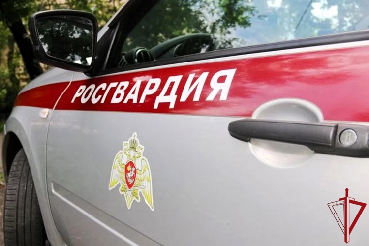 В Няндоме сотрудники Росгвардии спасли мужчину от необдуманного поступка