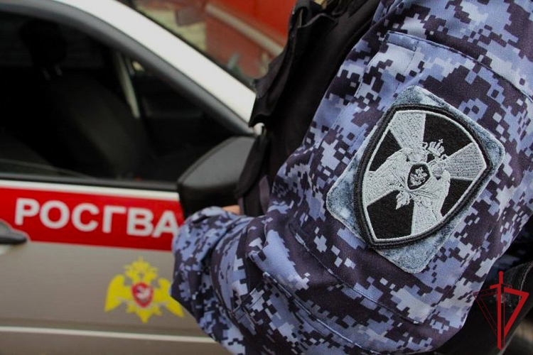 Наряд Архангельского филиала УВО Росгвардии задержал женщину, объявленную в розыск за кражу телефона