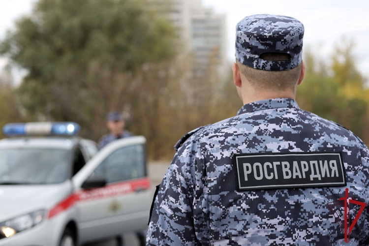 В Котласе патруль Росгвардии разыскал местного жителя, уклонявшегося от исполнения административного наказания