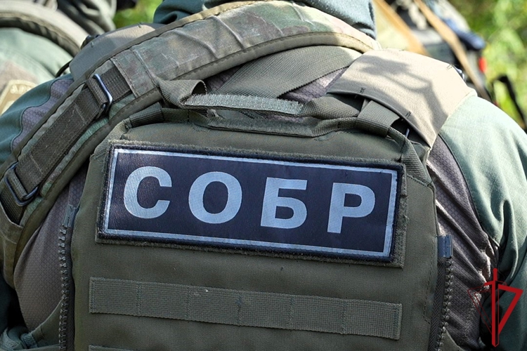 СОБР Росгвардии в Архангельской области задержан подозреваемый в покушение на мошенничество в особо крупном размере