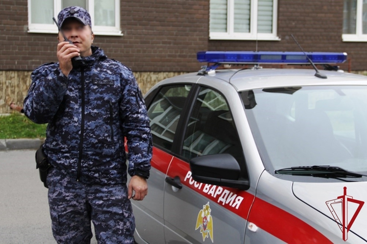 Сотрудники Росгвардии в центре Котласа задержали осужденного, объявленного в розыск