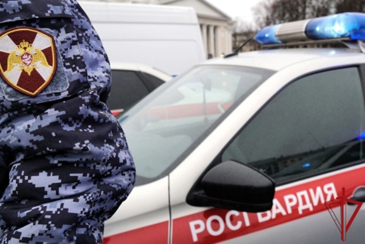 О результатах работы подразделений Росгвардии в Архангельской области за неделю