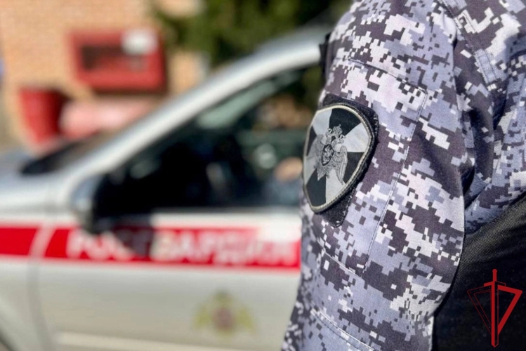 В Северодвинске наряд Росгвардии задержал подозреваемого в серийном воровстве