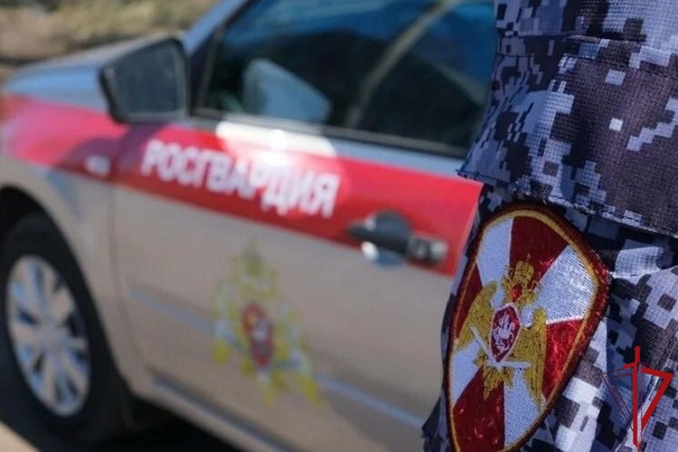 В Котласе наряд Росгвардии задержал гражданку, подозреваемую в магазинной краже