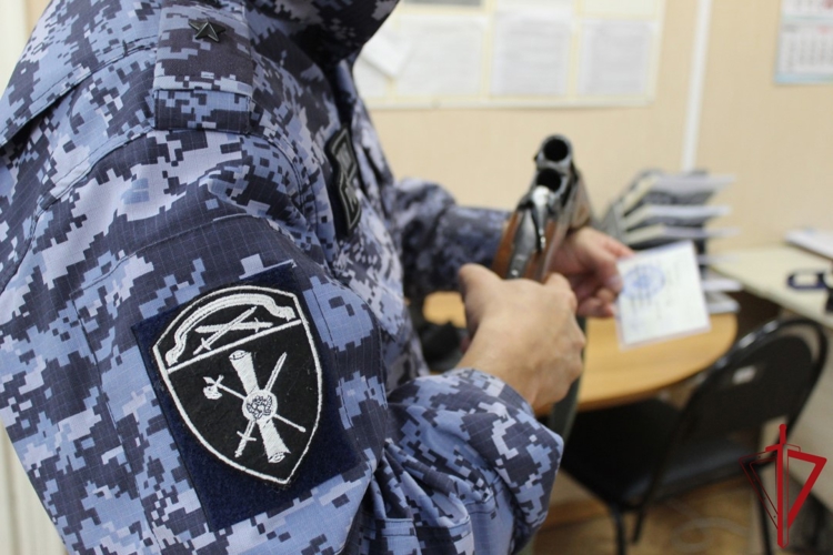 Росгвардейцы Поморья за неделю изъяли 41 ружье у правонарушителей