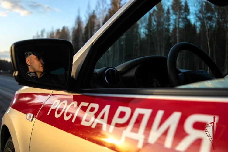 В Няндоме сотрудники Росгвардии задержали разыскиваемого гражданина