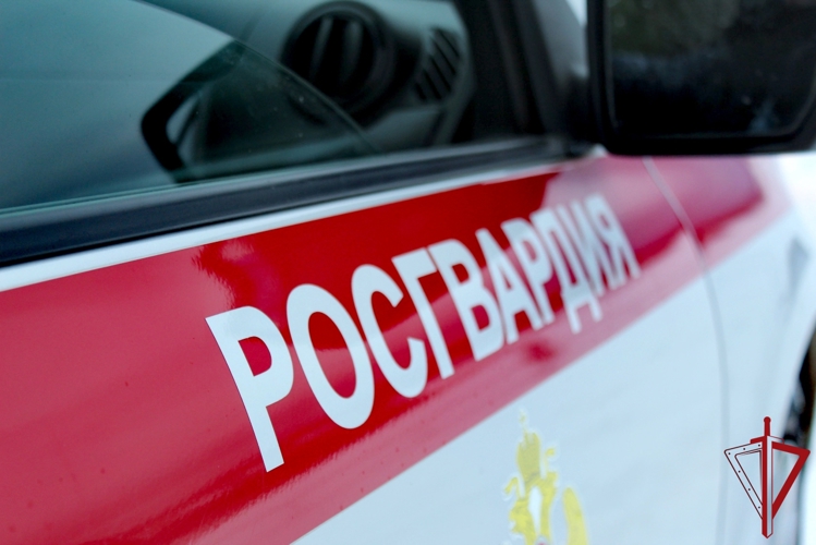 Сотрудники Росгвардии разыскали жителя Вельска, подозреваемого в нанесении побоев дочери