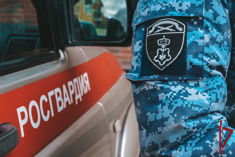 В Архангельске сотрудники Росгвардии задержали мужчину, подозреваемого в хищении алкоголя