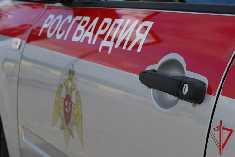В Северодвинске наряд Росгвардии помог усмирить пьяную посетительницу бара