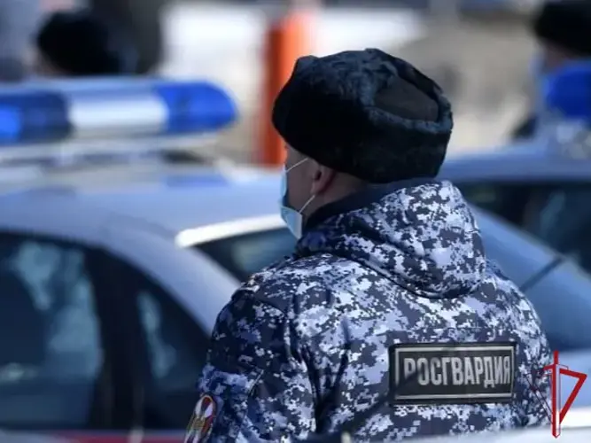 В Коряжме наряд Росгвардии задержал подозреваемого в избиении посетителей бара