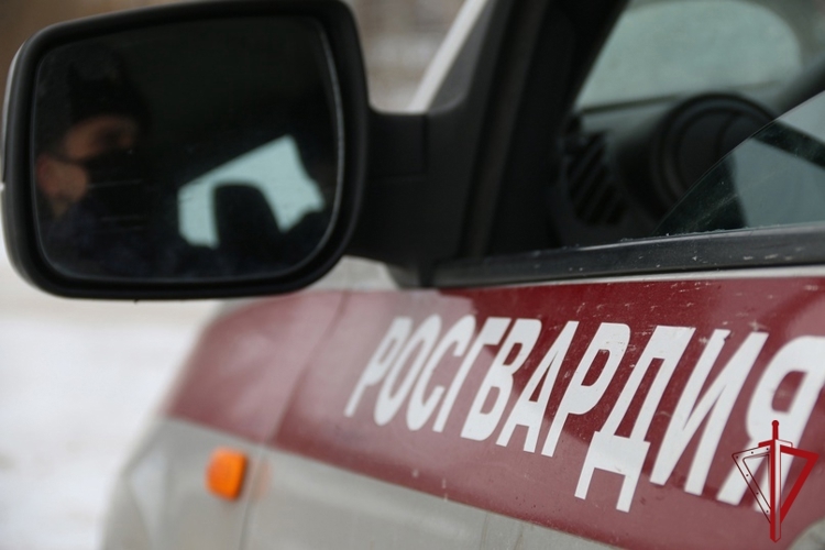 В Архангельской области сотрудники Росгвардии за неделю изъяли 13 ружей и пресекли семь посягательств на охраняемое имущество