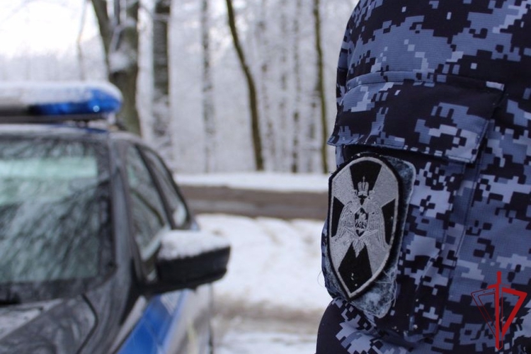 Патруль Росгвардии задержал коряжемца, подозреваемого в хищении сотового телефона