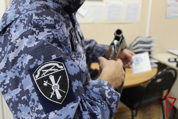В Архангельской области проходит оперативно-профилактическое мероприятие Росгвардии «Сфера – Безопасность»