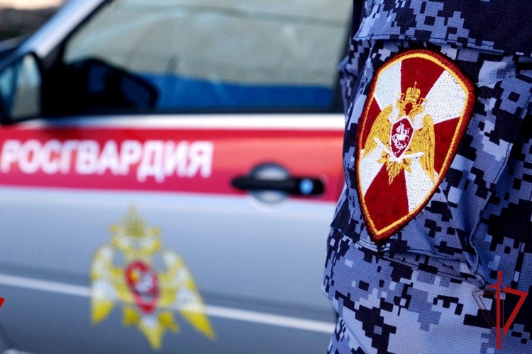 Северодвинские росгвардейцы разыскали скрывавшегося от следствия жителя Плесецка, обвиняемого в краже  