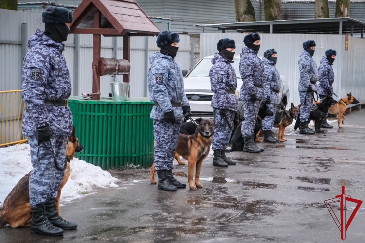 В подразделениях Росгвардии Архангельской области начался зимний период подготовки