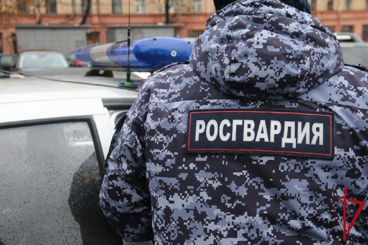 В Архангельске наряд Росгвардии задержал подозреваемого в краже спиртного из магазина