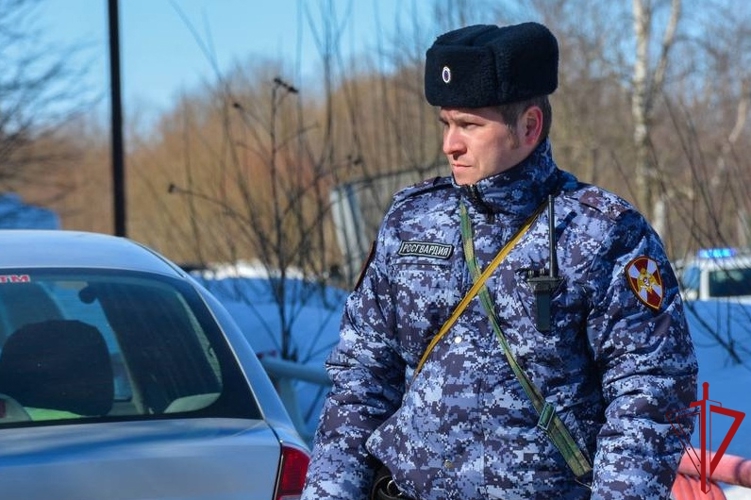 В Котласе сотрудники Росгвардии задержали мужчину, угнавшего автомобиль