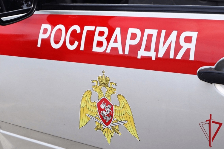 В Росгвардии Поморья рассказали о результатах работы за первую рабочую неделю января
