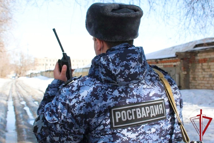 Северодвинские росгвардейцы задержали подозреваемого в хищении дорогостоящих продуктов