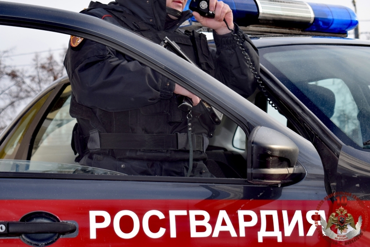 Росгвардейцы Коряжмы помогли участковому задержать неадеквата, избившего мать-пенсионерку