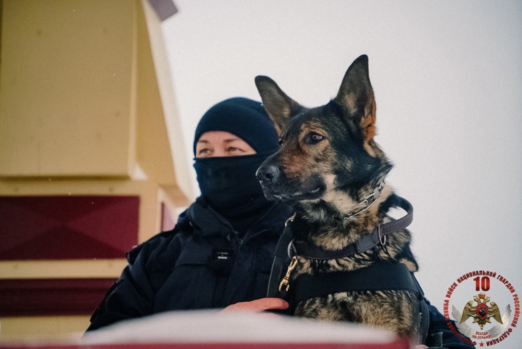 «Меня мама искала там, где лают собаки»: кинолог архангельского ОМОН Росгвардии рассказала о себе и своей профессии