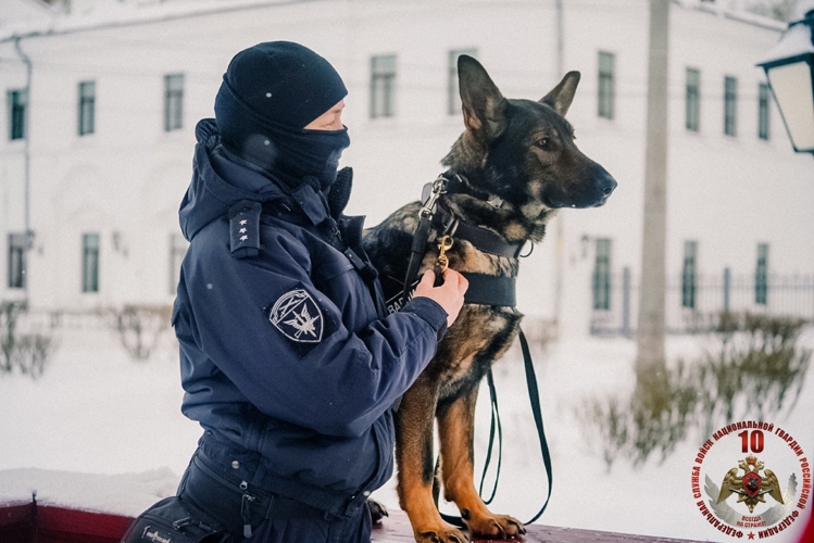 «Меня мама искала там, где лают собаки»: кинолог архангельского ОМОН Росгвардии рассказала о себе и своей профессии