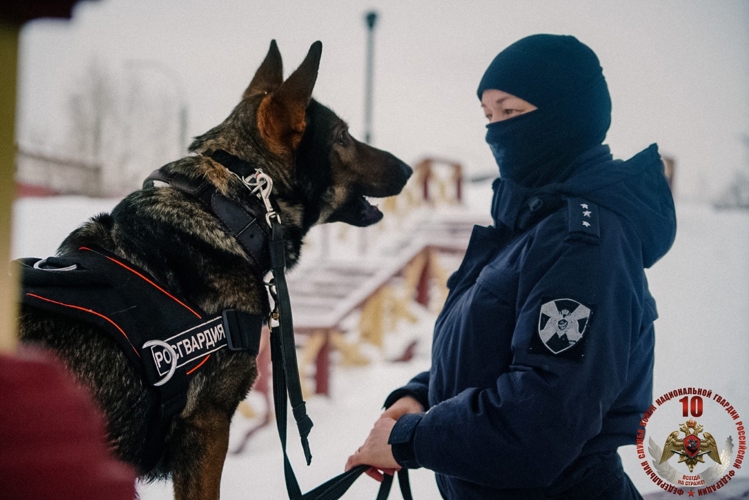 «Меня мама искала там, где лают собаки»: кинолог архангельского ОМОН Росгвардии рассказала о себе и своей профессии