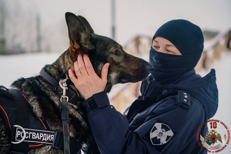 «Меня мама искала там, где лают собаки»: кинолог архангельского ОМОН Росгвардии рассказала о себе и своей профессии