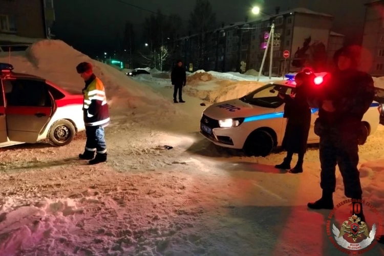 В Няндоме наряд Росгвардии задержал неадеквата, угрожавшего пневматическим оружием посетителям кальянной