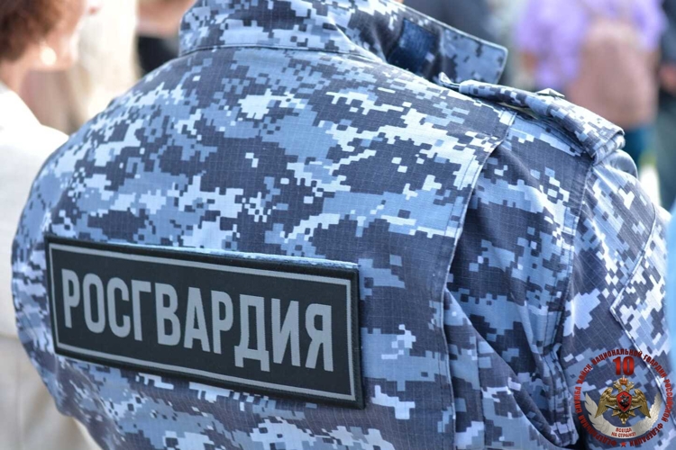В Коряжме наряд Росгвардии задержал женщину, осужденную за неуплату алиментов и объявленную в розыск