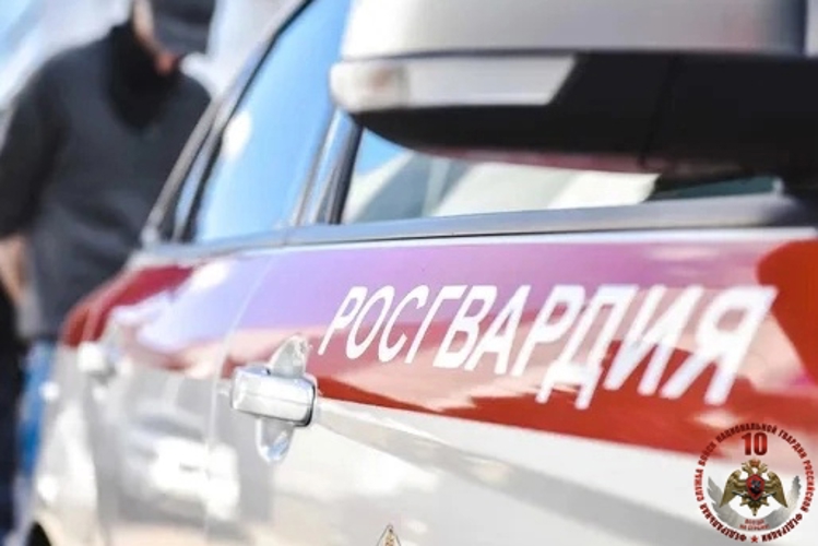 Патруль Росгвардии задержал архангелогородца, подозреваемого в покушении на кражу из магазина