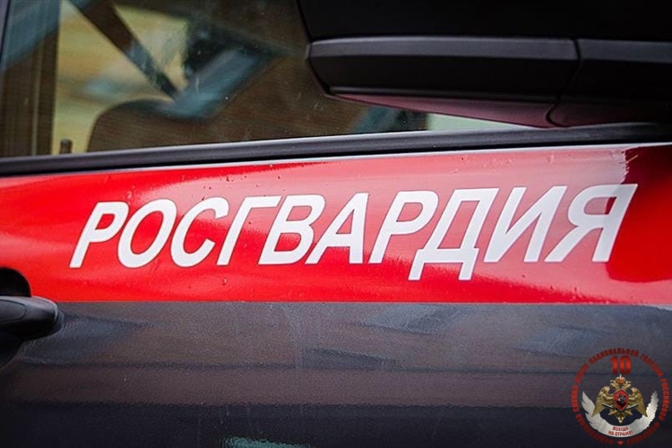 Няндомские росгвардейцы задержали жителя Шалакуши, объявленного в розыск