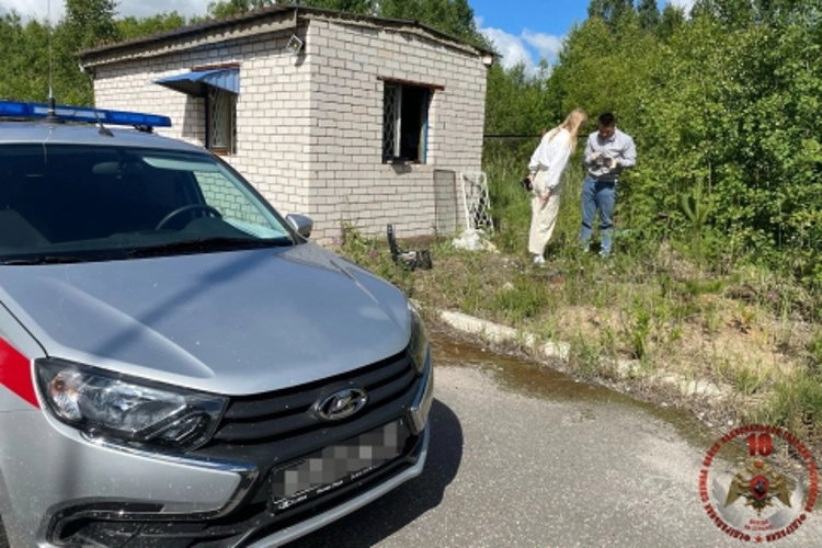 Новодвинские росгвардейцы задержали местного жителя, незаконно проникшего на охраняемый объект ТЭК