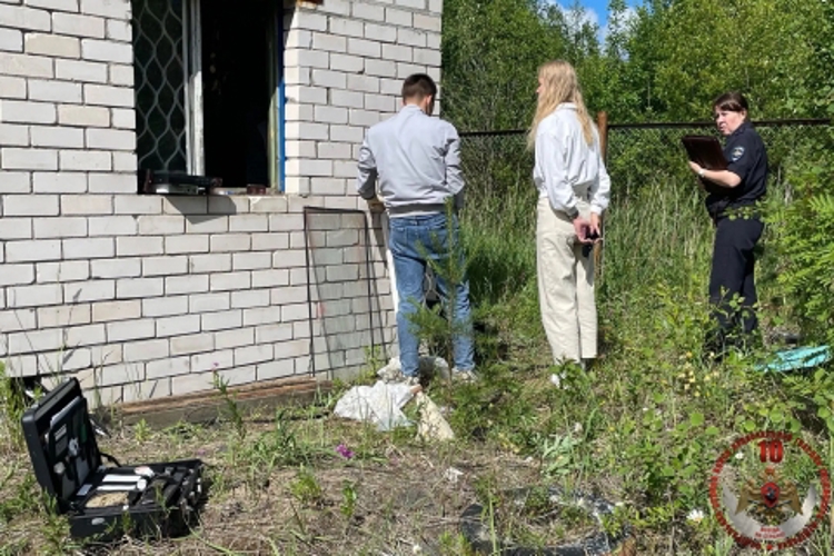 Новодвинские росгвардейцы задержали местного жителя, незаконно проникшего на охраняемый объект ТЭК