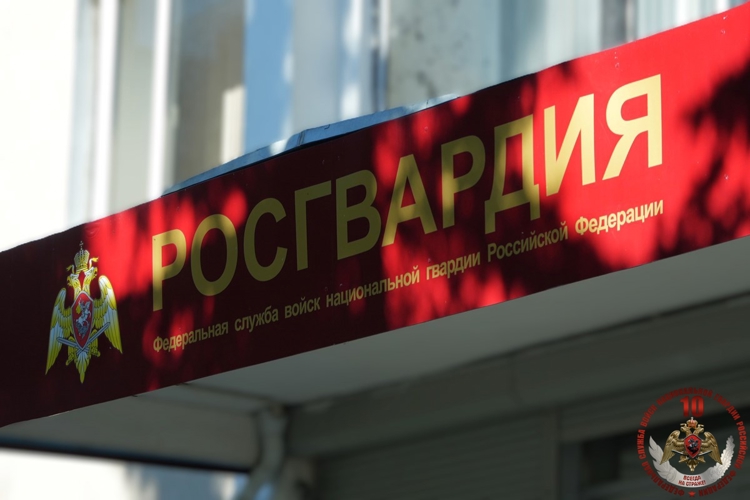 Росгвардейцы Поморья изъяли за правонарушения 32 ружья и задержали двух разыскиваемых лиц, подозреваемых в преступлениях