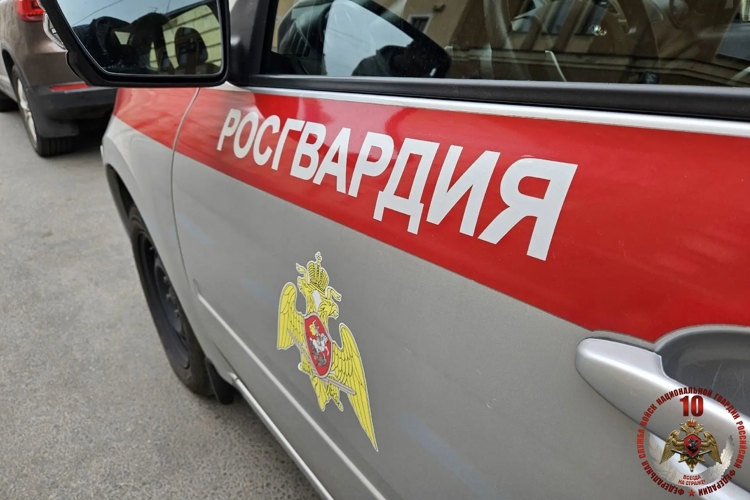 За минувшую неделю в Архангельской области экипажи вневедомственной охраны Росгвардии приняли 217 сигналов тревоги