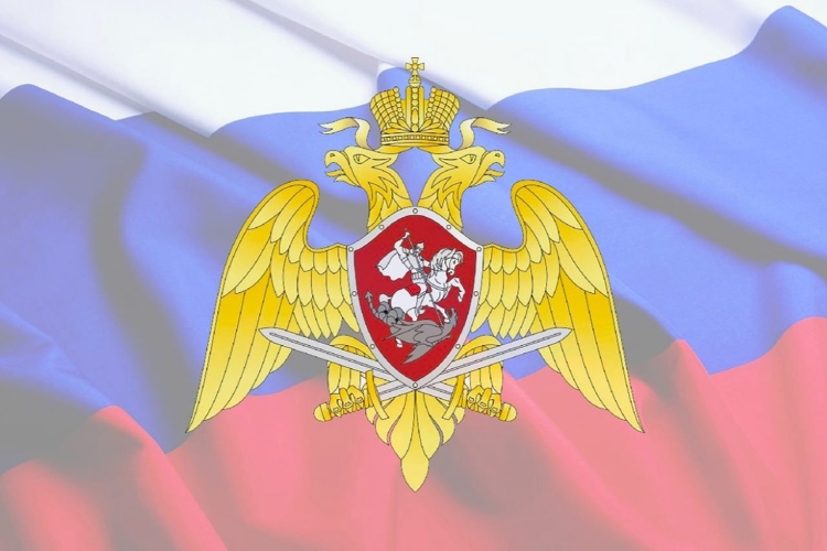 Сотрудник Росгвардии в ходе «прямой линии» ответит на вопросы об обороте гражданского оружия в Архангельской области