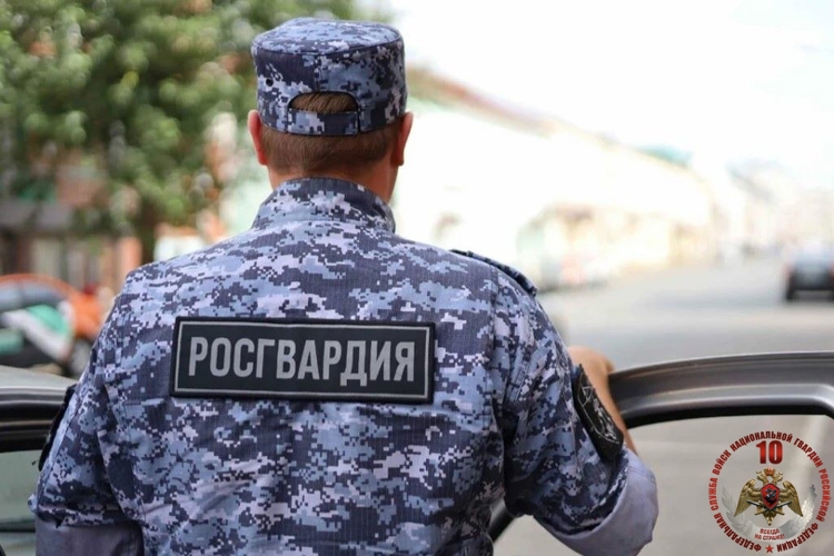 В Няндоме сотрудники Росгвардии задержали местного жителя, объявленного в розыск