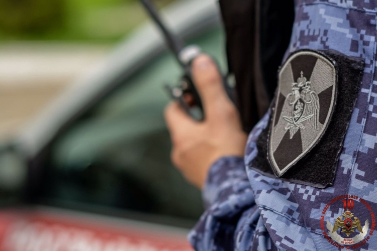 В Северодвинске сотрудники Росгвардии задержали объявленного в розыск уроженца Холмогорского округа