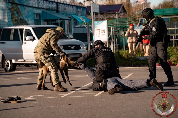 В Архангельске прошла масштабная военно-спортивная игра «В зоне особого внимания», посвящённая 10-летию Росгвардии