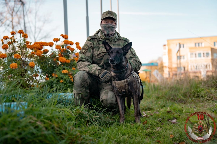 В Архангельске прошла масштабная военно-спортивная игра «В зоне особого внимания», посвящённая 10-летию Росгвардии