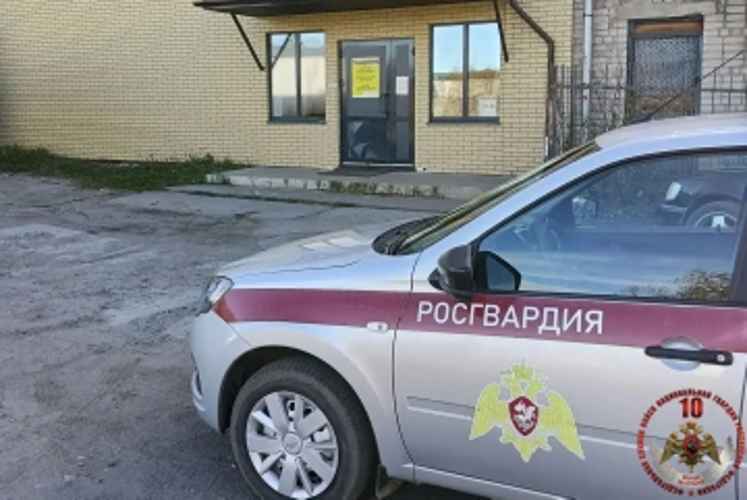 В Котласе сотрудники Росгвардии задержали подростка, незаконно проникшего в магазин запчастей