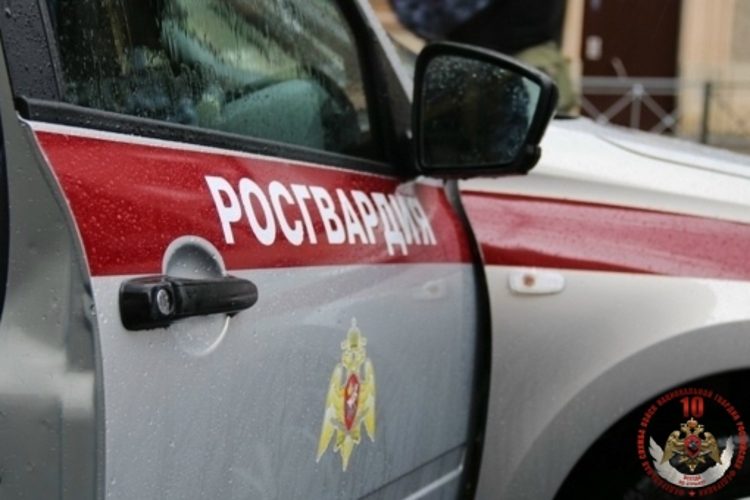 В Котласе сотрудники Росгвардии задержали подростка, незаконно проникшего в магазин запчастей